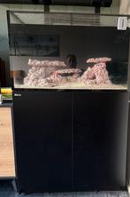 Zeeaquarium met bioloog, type;Reefer 300, Dieren en Toebehoren, Vissen | Aquaria en Toebehoren, Ophalen, Zo goed als nieuw, Leeg aquarium