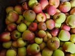 Kist vol kleine appeltjes biologisch, Ophalen