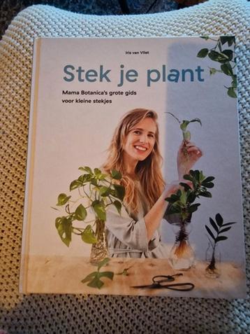 Iris van Vliet - Stek Je Plant beschikbaar voor biedingen
