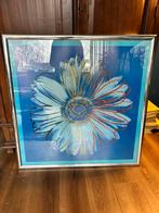 Andy Warhol, Litho Daisy Blue zgan, Antiek en Kunst, Kunst | Litho's en Zeefdrukken, Ophalen