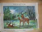 NIEUW Voorbedrukt Stramien Biches au clair/herten. Ook DMC, Ophalen of Verzenden, Nieuw, Handborduren, Onderdeel of Toebehoren