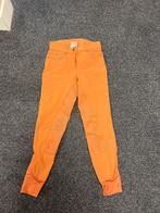 Paardrijbroek Quur maat 34, Dieren en Toebehoren, Paardrijkleding, Dames, Gebruikt, Overige soorten, Onderkleding