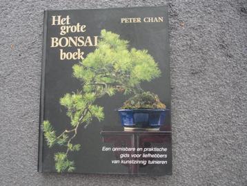Het grote Bonsai boek  Peter Chan beschikbaar voor biedingen