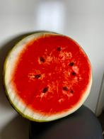 Fruit Kussens - Sinaasappel Watermeloen, Ophalen of Verzenden, Zo goed als nieuw, Overige kleuren, Rond