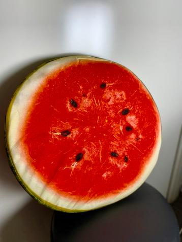 Fruit Kussens - Sinaasappel Watermeloen beschikbaar voor biedingen