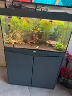 Te koop aqarium met vissen pomp en alles wat erbij zit, Ophalen of Verzenden, Zo goed als nieuw, Gevuld zoetwateraquarium