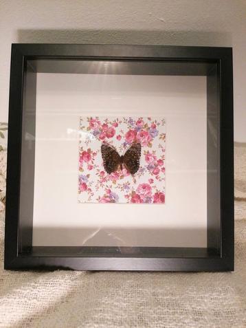 Vlinder in lijst beschikbaar voor biedingen