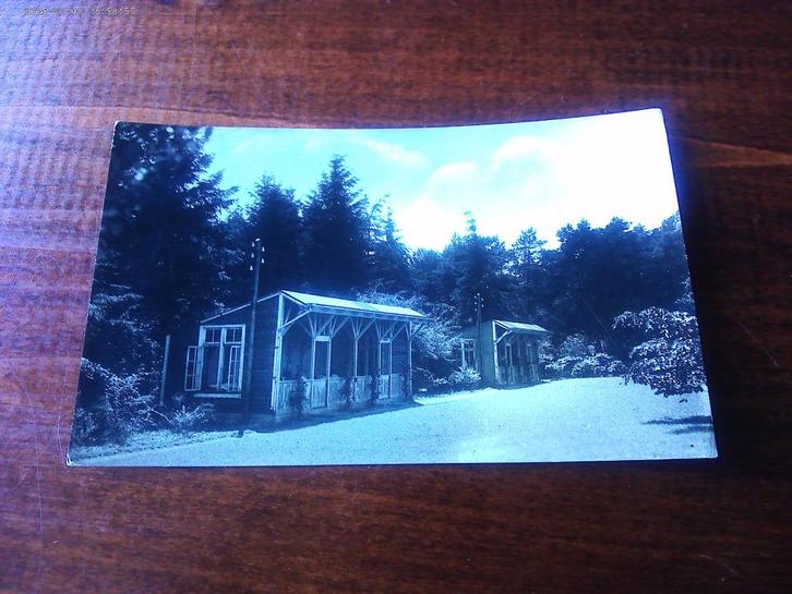 E34 - Appelscha - Sanatorium - Mooi/Oud, Verzamelen, Ansichtkaarten | Nederland, Groningen, Ophalen of Verzenden