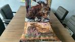 2x Kussenhoes Kattenprint, Ophalen of Verzenden, Zo goed als nieuw, Bruin, Vierkant