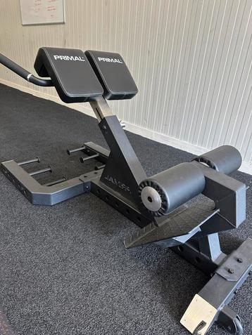 Primal Strength Hyperextension | Nieuwstaat | beschikbaar voor biedingen
