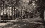 Breda, Ginneken, Fotokaart Hotel Mastbosch  129473, Verzenden, 1920 tot 1940, Ongelopen, Noord-Brabant