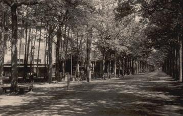 Breda, Ginneken, Fotokaart Hotel Mastbosch  129473 beschikbaar voor biedingen