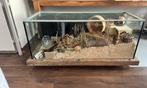 Aquarium, Ophalen, Gebruikt, Leeg aquarium