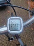 Display Sparta ion batavus padova easy Koga cu2, Ophalen of Verzenden, Zo goed als nieuw