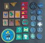 scouting 30 oude kabouter en padvindsters insignes, Ophalen of Verzenden, Gebruikt, Embleem, Speld of Insigne