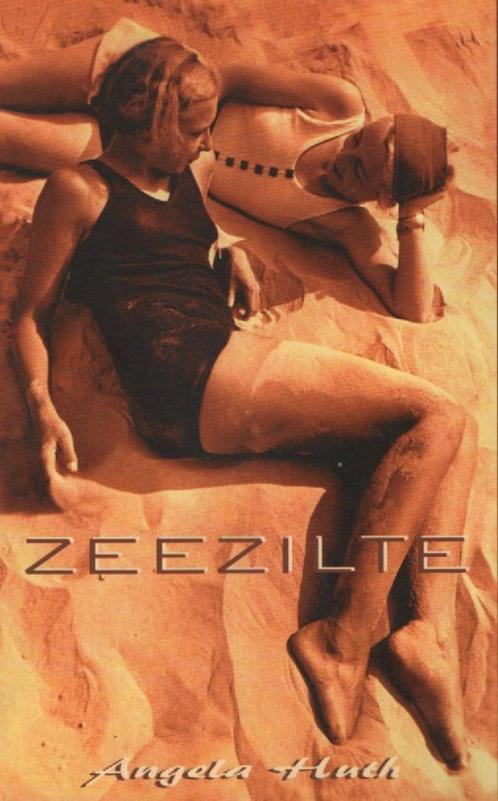 Zeezilte, Boeken, Romans, Gelezen, Nederland, Ophalen of Verzenden