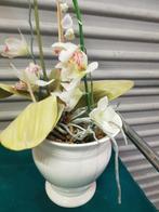 kunst plant orchideeen wit en paars, Ophalen of Verzenden