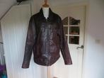 Herenjas van leer winter jas Lion Vanguard maat XL, Bruin, Maat 56/58 (XL), Ophalen of Verzenden, Zo goed als nieuw
