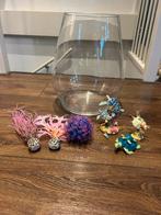 Glazen vissenkom met accessoires, Dieren en Toebehoren, Ophalen of Verzenden, Gebruikt