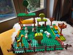 Duplo dierentuin met grote speelplaat, Ophalen of Verzenden, Gebruikt, Losse stenen, Duplo