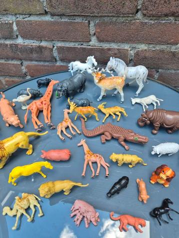 Boerderij en dierentuin dieren  beschikbaar voor biedingen