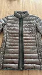 Gil bret dames jas korte model, maat 38, Maat 38/40 (M), Overige kleuren, Ophalen of Verzenden, Zo goed als nieuw