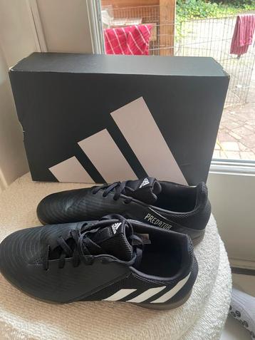 Adidas predators beschikbaar voor biedingen