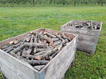 Fruithout kachelhout appelhout🪵🪵 beschikbaar voor biedingen