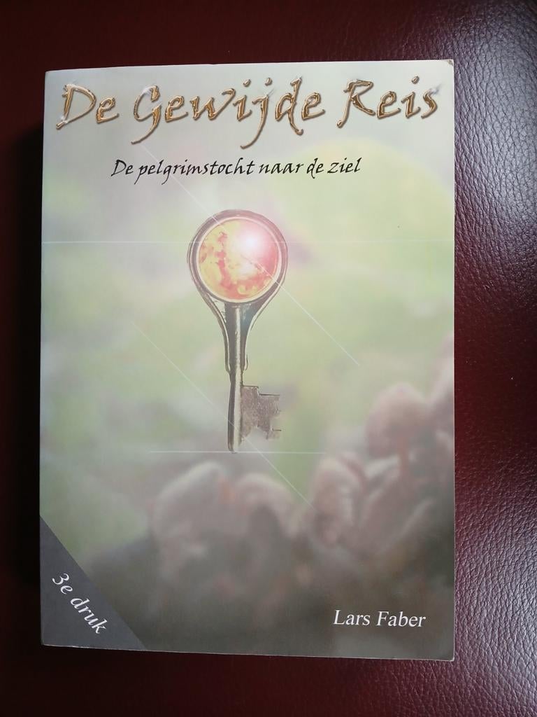 De Gewijde Reis - Lars Faber zgan vaste prijs, Achtergrond en Informatie, Spiritualiteit algemeen, Ophalen of Verzenden, Zo goed als nieuw