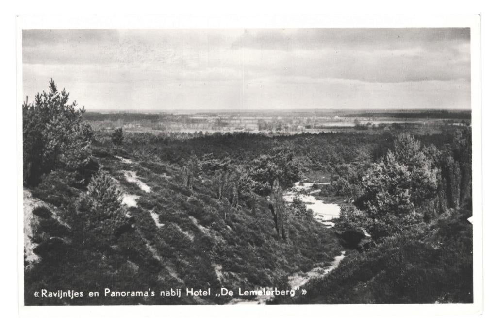 991218 Lemelerveld Lemelerberg 1950 Ov Gelopen met postzegel, Ophalen of Verzenden, 1940 tot 1960, Gelopen, Overijssel