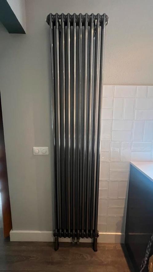 Designradiator – RVS staal look – 50 x 214 cm, Doe-het-zelf en Verbouw, Verwarming en Radiatoren, Gebruikt, Radiator, 800 watt of meer