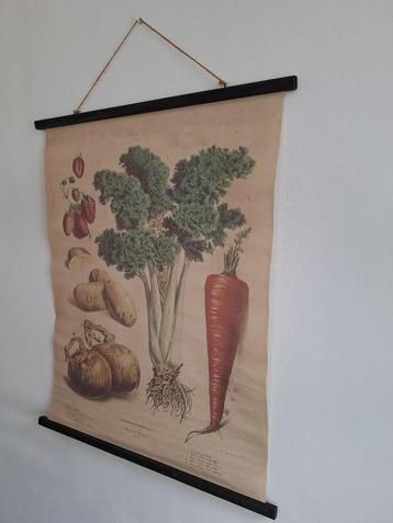 Kunst groente fruit op canvas beschikbaar voor biedingen