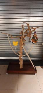 Javabomen in diverse maten., Ophalen of Verzenden, Zo goed als nieuw