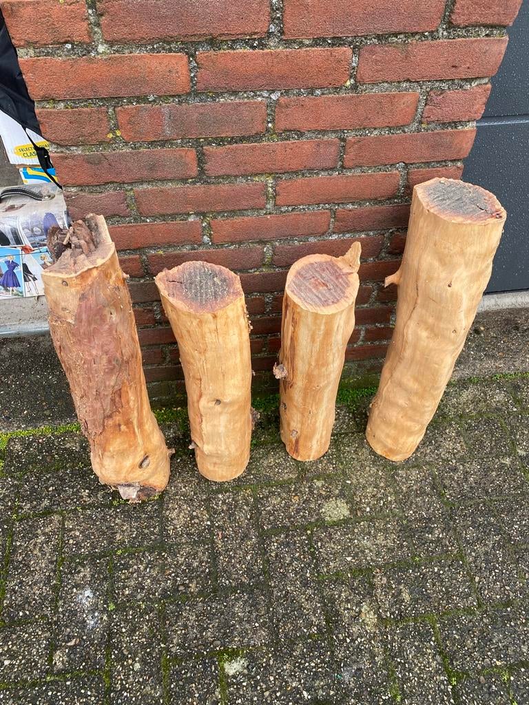 Sakoja boomstammen - gedroogd, Tuin en Terras, Ophalen, Gebruikt, Palen, Hardhout