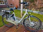 Prachtige BATAVUS ALLEGRO 2X M/V € 795 P ST, Fietsen en Brommers, Ophalen, Batavus, Zo goed als nieuw, 51 tot 55 cm