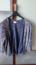 Pepe jeans vest xxs, Blauw, Ophalen of Verzenden, Maat 34 (XS) of kleiner, Gedragen