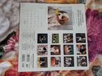 Cavalier King Charles Spaniel Kalender 2004, Ophalen of Verzenden, Zo goed als nieuw