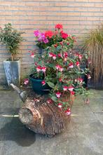 Boomstam bijzettafelje, Ophalen, Minder dan 55 cm, Rond, Zo goed als nieuw