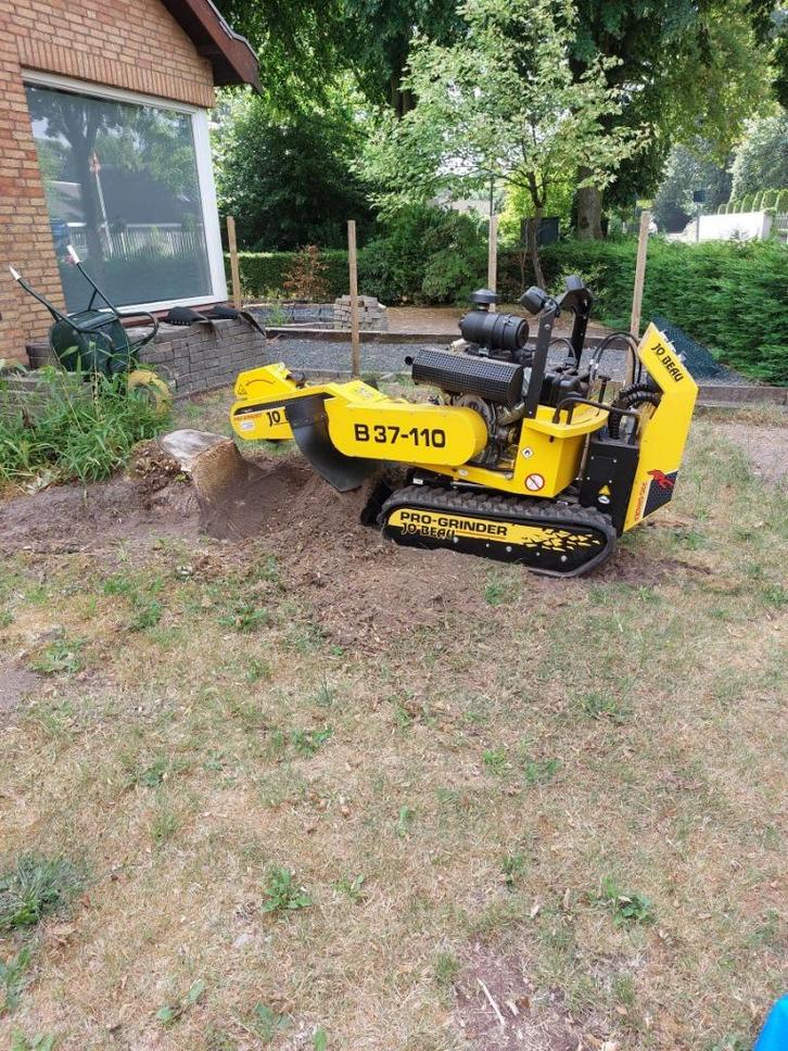 Stronken frezen boomstronk frezen verwijderen West-Brabant, Diensten en Vakmensen, Tuinmannen en Stratenmakers, Tuinonderhoud of Snoeiwerk
