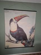 Toekan op doek 1,40 x 1,70 m, uit de oude meesters collectie, Ophalen of Verzenden