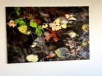 Fotodoek, Ophalen, 100 tot 125 cm, Schilderij, 50 tot 75 cm