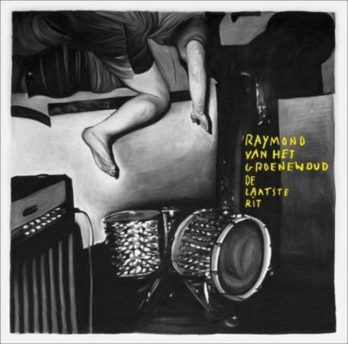 3 CD's: Raymond van het Groenewoud (ZGAN), Cd's en Dvd's, Cd's | Nederlandstalig, Zo goed als nieuw, Pop, Ophalen of Verzenden