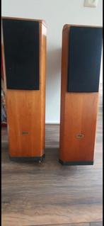 Tannoy D300 luidsprekers, Gebruikt, 60 tot 120 watt, Front, Rear of Stereo speakers, Ophalen