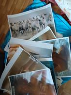 Snoecks Jaarboek Posters Collectie, Antiek en Kunst, Ophalen of Verzenden