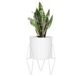 Bloempotjes met houder - bloemen - planten - € 1,- P/st, Tuin en Terras, Bloempotten, Ophalen, Rond, Nieuw, Tuin