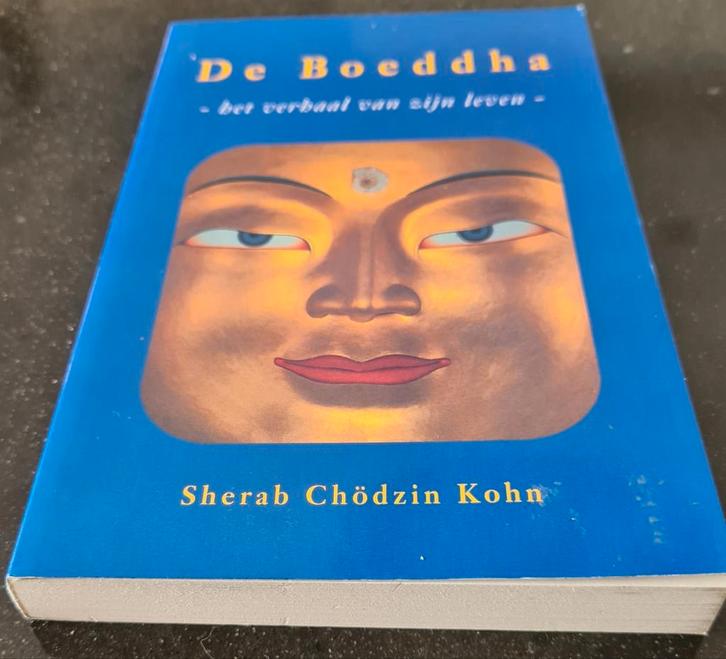 De Boeddha Sherab Gödzin Kohn, Boeken, Esoterie en Spiritualiteit, Zo goed als nieuw, Achtergrond en Informatie, Spiritualiteit algemeen