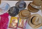 Diverse hoeden en pruiken collectie en roze boa, Hoed, Diverse, Gedragen, One size fits all