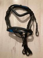 Hoofdstel met teugels maat Shetland blauw, Dieren en Toebehoren, Ophalen of Verzenden, Nieuw, Dressuur