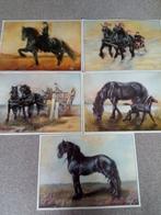 Friese Paarden Prints ( set), Minder dan 50 cm, Minder dan 50 cm, Schilderij, Ophalen of Verzenden