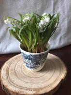 Royal Sphinx bloempot, Ophalen of Verzenden